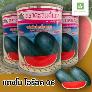 ไฮร๊อค 06 เมล็ดพันธุ์แตงโม 🍉 ไฮร็อค06 ตอปิโด ตะวันต้นกล้า