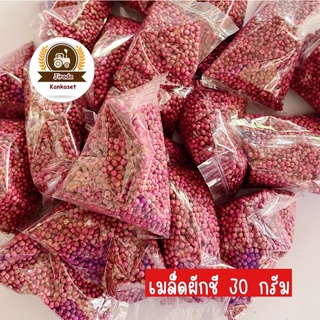 เมล็ดพันธุ์ผักชี 30 กรัม ( เมล็ดผักชี ผักชีป้อม ผักชีจีน ผักชีไทย ผักชีเลือด ผักชี เม็ดผักชี)