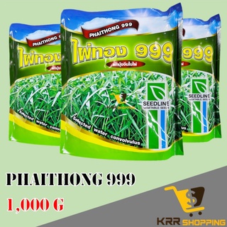 เมล็ดพันธุ์ ผักบุ้ง ไผ่ทอง 999 ขนาด 1000 กรัม ผักบุ้งใบไผ่ ผักบุ้งเรียวไผ่ ผักบุ้งจีน ขายส่ง คุณภาพดี เมล็ดผักบุ้ง