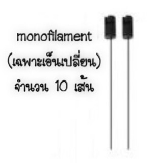 พร้อมส่ง 🇹🇭 กรุงเทพฯ  👍🏻 Monofilament เฉพาะเอ็น สำหรับเปลี่ยน ค่าส่งถูก