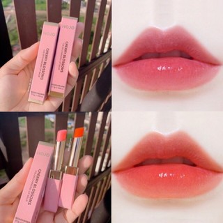 ลิปสติก hojo Lipstic ลิปบาล์ม ลิปสติก ลิปกลอส ลิปมัน สไตล์เกาหลี ปากชุ่มฉ่ำ มันวาว ไม่ติดแก้ว สีสวยติดทนนาน