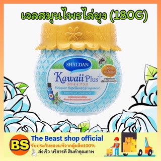 The beast shop_[180g] น้ำหอมปรับอากาศไล่ยุง SHALDAN KAWAII PLUS ชาล์เดิ้ล คาวาอี้พลัส Tropical Marriage