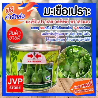 **ส่งฟรี**มะเขือเปราะหยาดทิพย์ ตราศรแดง บรรจุ 20กรัม มีให้เลือกแพ็ค 1-5กระป๋อง (Eggplant seed) เมล็ดพันธุ์คุณภาพ