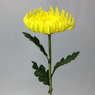 OrientalFineArt ดอกฟูจิมัมสีเหลือง ดอกไม้ประดิษฐ์เกรดพรีเมี่ยม Artificial Fuji Mum stem