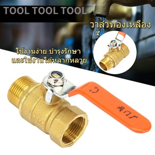 เครื่องมือทองเหลืองวาล์วทองเหลืองชายและหญิง 3/4 "Bsp Dn20