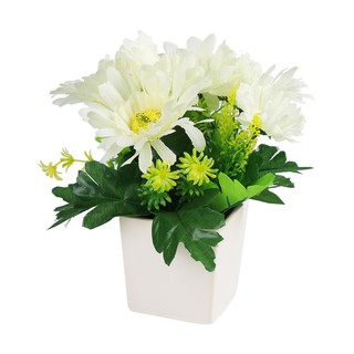 กระถางเยอบีร่า ฟ้าและดอกไม้ สีขาว ARTIFICIAL GERBERA IN POT SKY AND FLOWER WHITE