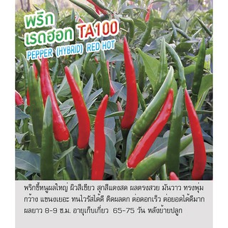 เมล็ดพันธุ์ พริกขี้หนู พริก ผลใหญ่ พริก เรดฮอท -Pepper Red Hot ตราดอกแตง เมล็ดพันธุ์ เมล็ดผัก คุณภาพ "เพื่อนเกษตรกร"