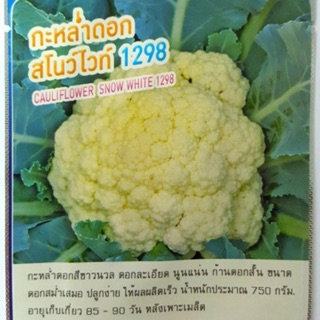 เมล็ดกะหล่ำดอก (CAULIFLOWER HYBRID) ปลูกง่าย ให้ผลผลิตเร็ว น้ำหนักผลผลิตประมาณ 750 กรัม