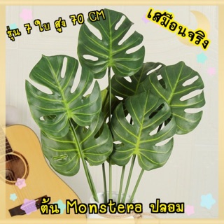 Sale💥ต้น Monstera ปลอมเสมือนจริง รุ่น สูง 70 Cm 7 ใบ งาน Premium งานจริงสวยเหมือนของจริงมาก