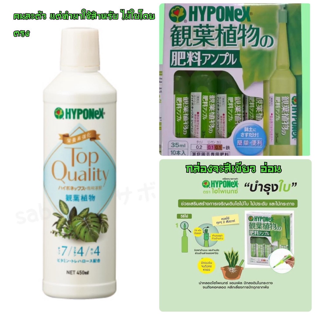 HYPONEX TOP QUALITY ハイポネックス®専用液肥  観葉植物