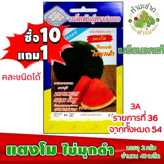 (ซื้อ10แถม1) เมล็ดพันธุ์ แตงโม ไข่มุกดำ Watermelon ประมาณ 40เมล็ด 3A สามเอ แตงโมดำ ผักสวนครัว เมล็ดพันธุ์พืช เมล็ดผัก