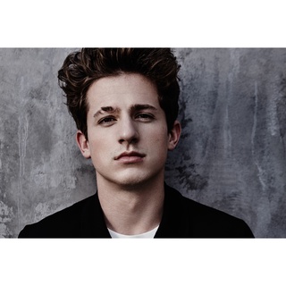 โปสเตอร์ ชาร์ลี พูท Charlie Puth Music Poster แต่งคอนโด ตกแต่งห้อง รูปภาพติดห้อง ตกแต่งผนัง ของขวัญ โปสเตอร์ติดผนัง