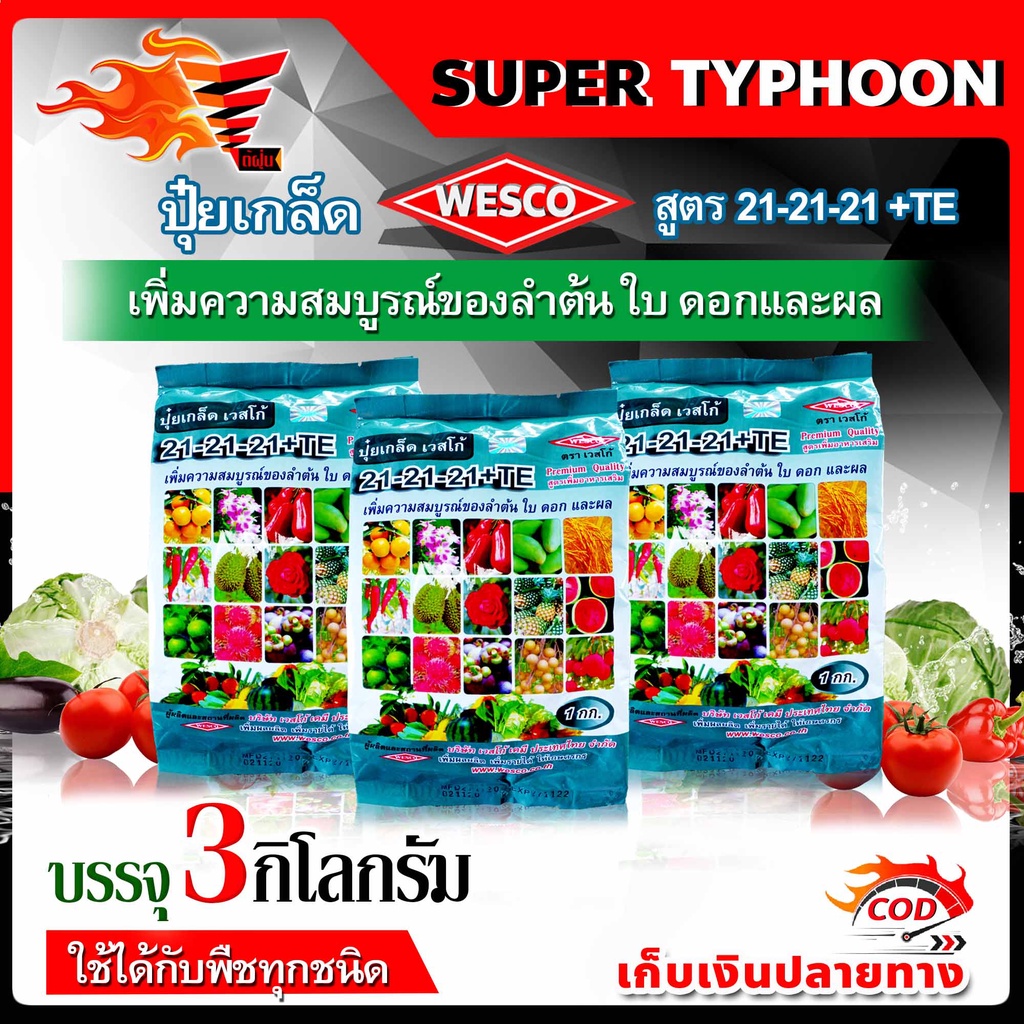 แพ็ค 3 กิโลกรัม WESCO ปุ๋ย 21-21-21 +TE(ธาตุรองเสริม) ปุ๋ยเกล็ด เวสโก้ เพิ่มความสมบูรณ์ของลำต้น ใบ ด
