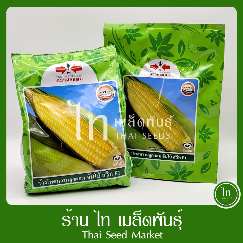 จัมโบ้สวีท ข้าวโพดหวาน เมล็ดข้าวโพด ลูกผสม จัมโบ้ สวีท F1 เมล็ดพันธุ์ตรา ศรแดง หวาน ทนโรค บรรจุ 1 กิโลกรัม /200 กรัม