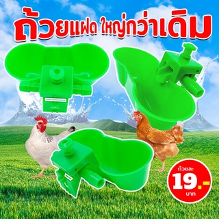 ถ้วยให้น้ำอัตโนมัติ ไก่ นก แบบถ้วยแฝดสีเขียว จุน้ำได้มากขึ้น แข็งแรง ทนทาน (1แพ็ค/10อัน)