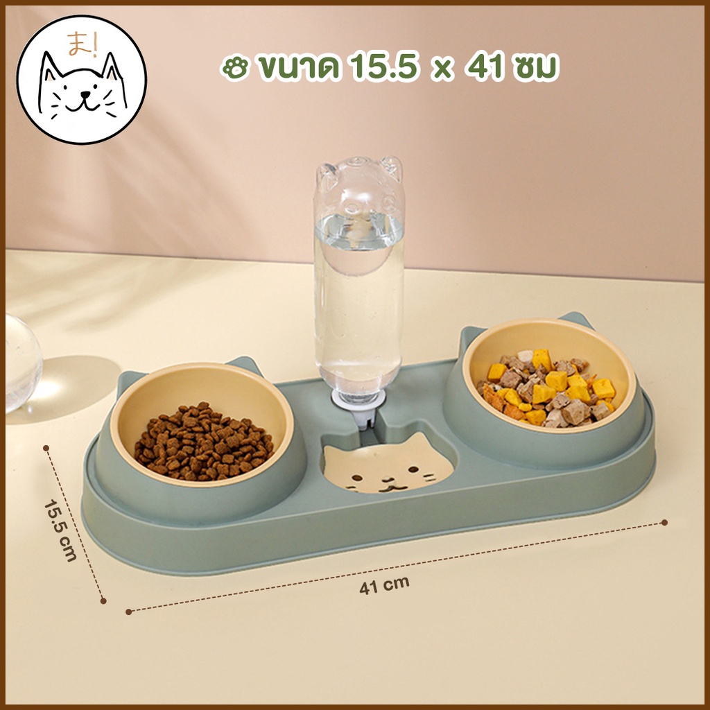 KUMAま ชามอาหารสัตว์เลี้ยง พร้อมที่ให้น้ำอัตโนมัติ ชามข้าวสุนัข แมว รูปที่ 5