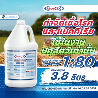 น้ำยาฆ่าเชื้อแบคทีเรีย ไมโครคิว เอ็กซ์ MicroQ X ขนาด 3.8 ลิตร น้ำยาฆ่าเชื้อฟาร์มสัตว์ ล้างคอกสัตว์ ใช้ในด้านปศุสัตว์