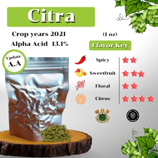 Citra Hops (1oz) Crop years 2021 (บรรจุด้วยระบบสูญญากาศ)