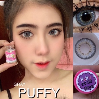 คอนแทคเลนส์ /Puffy ลายดังในตำนาน /บิ๊กอายตาโต