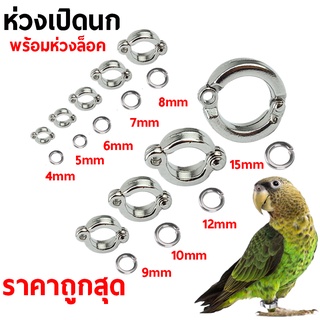 ห่วงขานกแก้ว ห่วงขานก ห่วงเปิดนก ซื้อ1แถม1 ได้จริง พร้อมห่วงล็อค 4mm-15mm ที่ให้เลือก