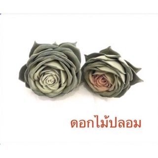 กุหลาบหินหิมะขนาดเล็กราคาหัวละ 120 บาทมี 2 สี ชมพู เขียว