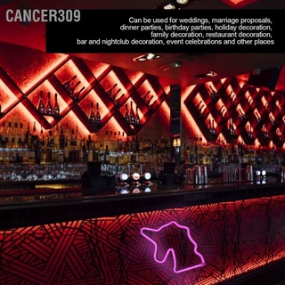 Cancer309 โคมไฟนีออน Led 309 สําหรับตกแต่งผนัง ปาร์ตี้วันเกิด วันหยุด