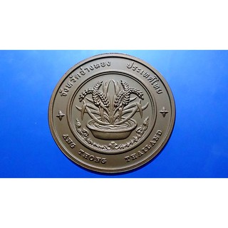 เหรียญทองแดงที่ระลึกประจำจังหวัด อ่างทอง ขนาด 4 เซ็น
