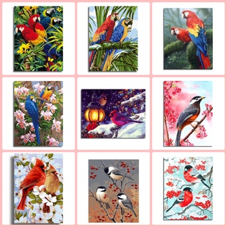 Xz Diy Paint By Numbers Parrot Bird Animal Oil Painting Number Paitning No Frame 16*20 Inch