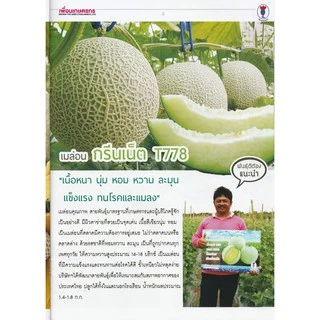 เมล็ดพันธุ์ เมล่อน กรีนเน็ต - Melon Green Net ตราดอกแตง เมล็ดพันธุ์ เมล็ดผัก คุณภาพ "เพื่อนเกษตรกร"