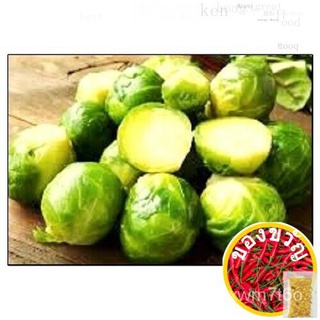 Long Island Brussels Sprouts Seeds Fresh Garden Seeds通心菜/男装/儿童/帽子/内裤/种子/母婴/园艺/seeds/文胸/ AKQA