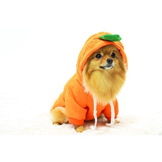 Pet carrot clothing ชุดสัตว์เลี้ยง ลายแครอท