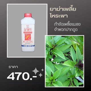 ยาฆ่าเพลี้ย โหระพา ปลอดสารพิษ มาคาและ FK-T(ใช้ได้ทุกพืช)โดย FK