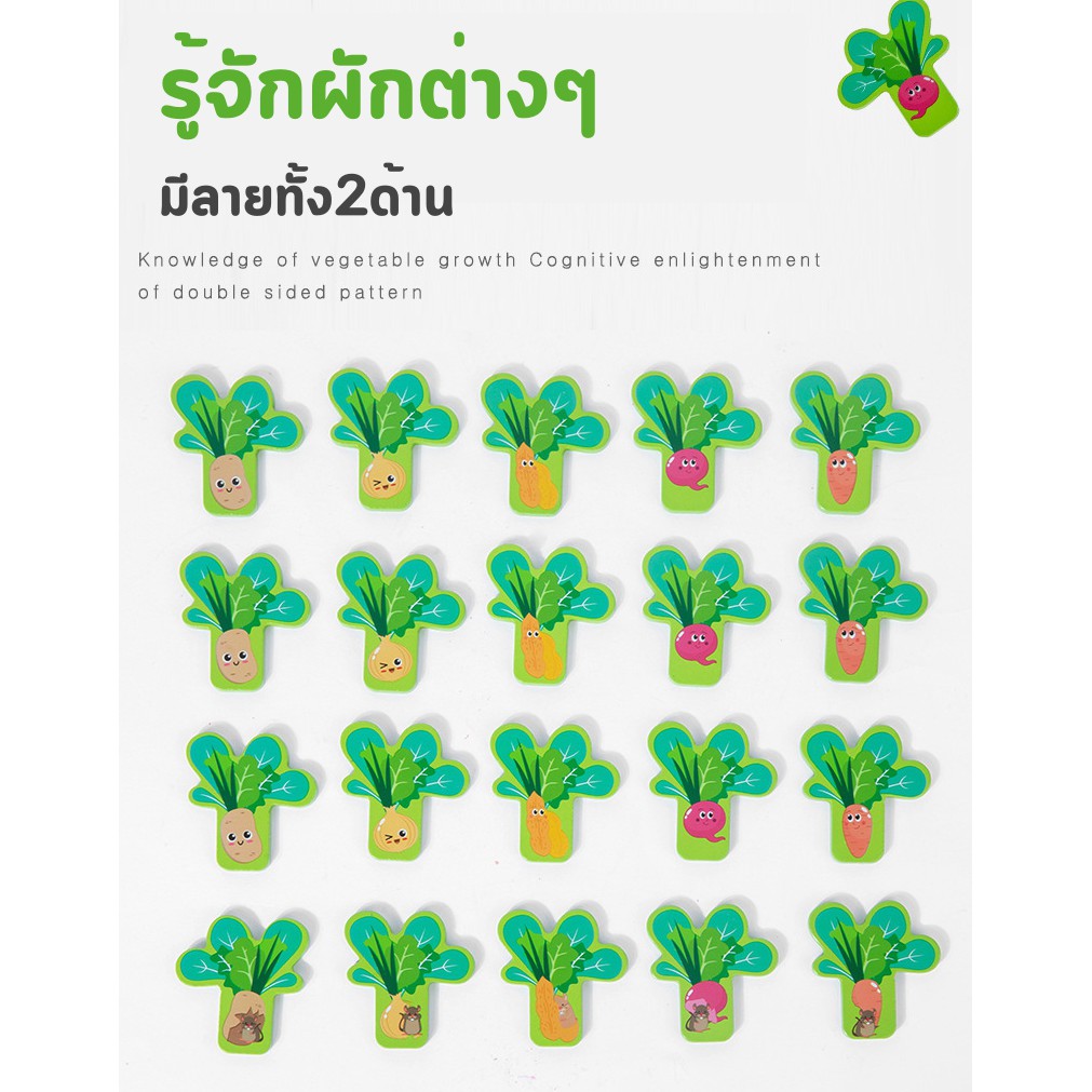 (พร้อมส่ง)2in1 ปลูกพืช ดูดหนอน เกมส์จับคู่ ของเล่นไม้ ของเล่นเด็ก ของเล่นเสริมพัฒนา Memory of Garden bug catching game - รูปที่ 6