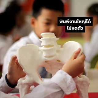 เส้น Polylite PLA Pro แข็งกว่า PLA ทั่วๆไป 2-3 เท่า ปริ้นสวย สีสด ใยน้อย แกะ Support ง่าย ขนาด 1.75 มิล หนัก 1 Kg