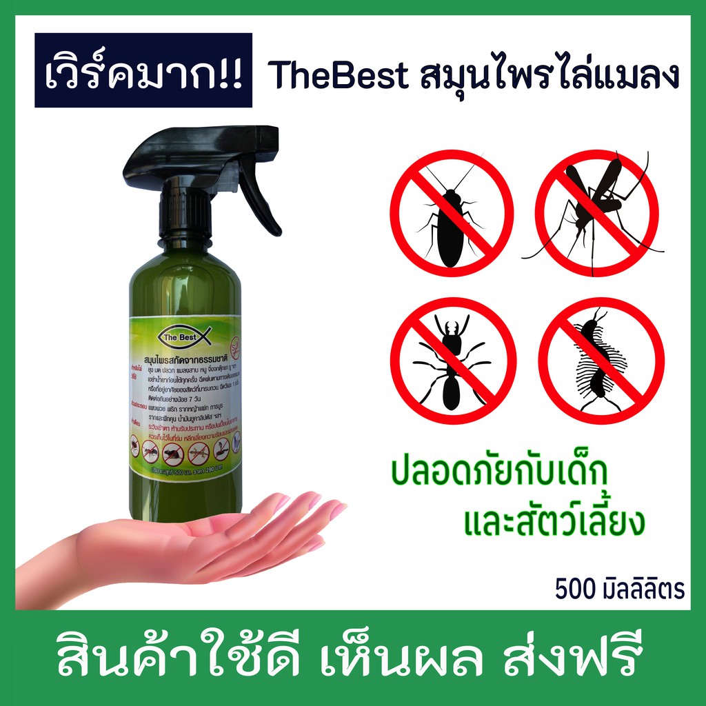 ของแท้) สเปรย์สมุนไพรไล่แมลงThe Best ไล่มด ไล่แมลงสาบและแมลงทุกชนิด |  Shopee Thailand