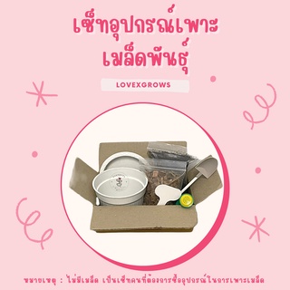 LXG : เซ็ทอุปกรณ์สำหรับเพาะเมล็ดดอกไม้ ต้นไม้ (ไม่มีเมล็ด) อุปกรณ์เพาะเมล็ด อุปกรณ์สำหรับเพาะเมล็ด