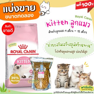 ❗แบ่งขาย❗ Royal Canin อาหารแมว 🌼สูตรแมวเด็ก🌼สำหรับลูกแมว อายุ 4 ถึง 12 เดือน   เกรด Super Premium【G2】