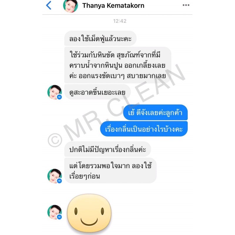 MR.CLEAN : เม็ดฟู่ชักโครกขาว (นำเข้าจากญี่ปุ่น ไม่ใช่ของจีน) - รูปที่ 4