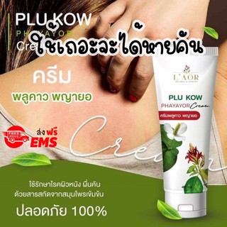 ของแท้ พลูคาวพญายอ Plukow ครีมพลูคาว พญายอ รักษาโรคผิวหนัง  ลดอาการคัน