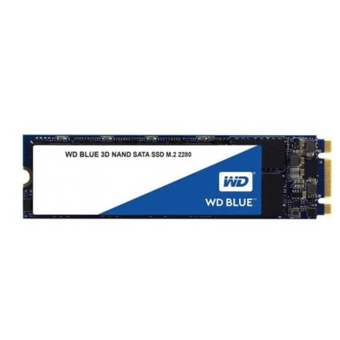 SSD M.2 WD BLUE 250 GB 3D NAND SATA M.2 2280 (WDS250G2B0B) **มือสอง**