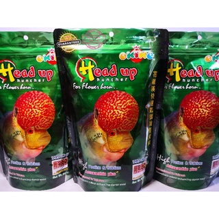 อาหารปลาหมอสี OKIKO Head up 500 กรัม (เร่งโหนก) มี 4 ขนาดเม็ด