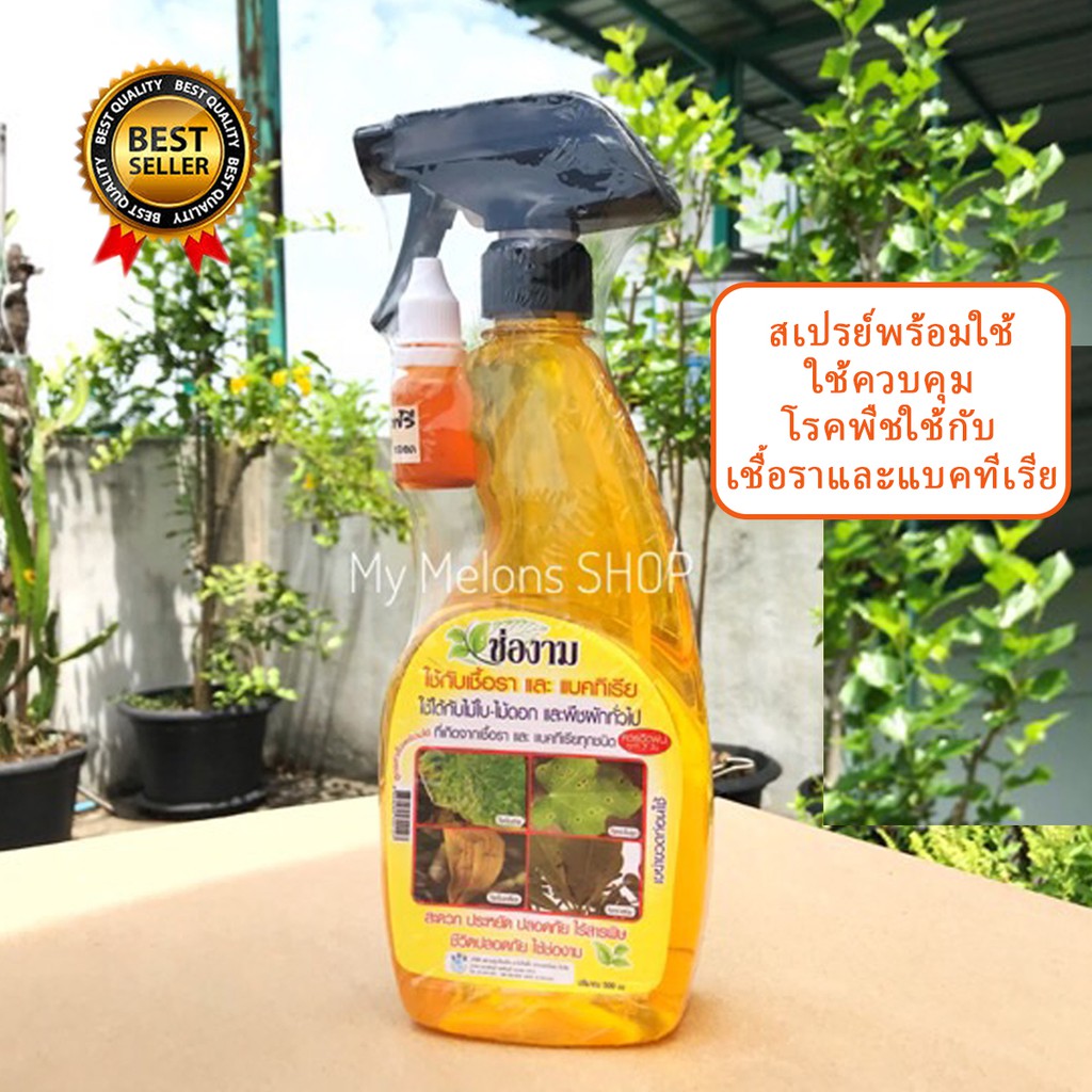 ชีวภาพป้องกันกัดจัดโรคพืช เชื้อรา แบคทีเรีย แบบสเปรย์พร้อมใช้ 500ml ตราช่องาม !!แถมฟรีหัวเชื้ออีก1ขวด
