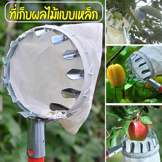 Fruit Picker 🍊🍎 ที่เก็บผลไม้ แบบเหล็ก พร้อมถุงเก็บ ป้องกันผลไม้ตกหล่น คุณภาพดี เสียหาย อุปกรณ์สอยผลไม้ ตะกร้อสอยผลไม้