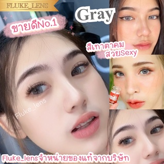 ลายดัง 💋 Sole2tone 💋 (ขนาดโต) นิ่มใส่สบายตาใส่ lovelyplus gray / brown คอนแทคเลนส์ นำเข้าจากเกาหลี