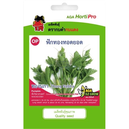 เมล็ดพันธุ์ ฟักทองทอดยอด ทองนภา ขนาด 3 กรัม เมล็ดพันธุ์ OP // [ซื้อ 10 แถม 1] เมล็ดผัก พืชสวนครัว