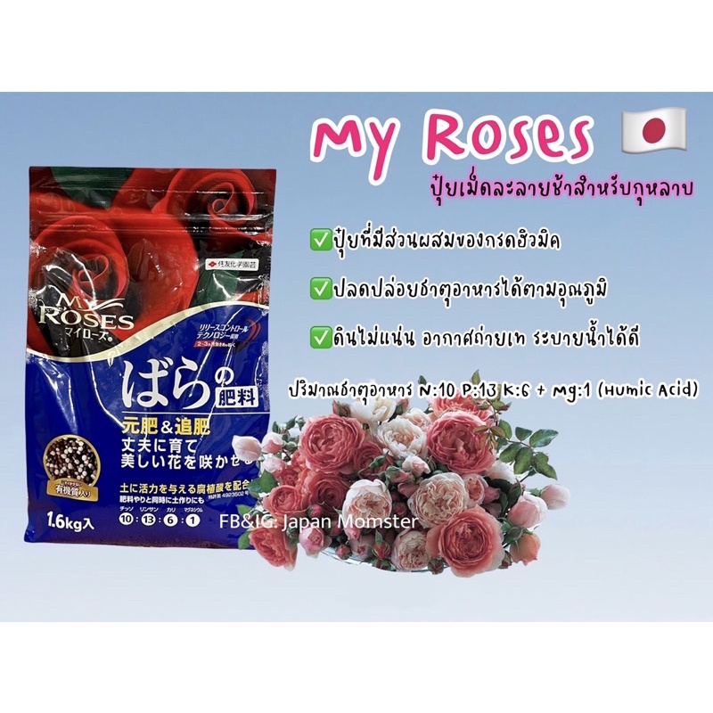 [พร้อมส่ง] My Roses ปุ๋ยกุหลาบญี่ปุ่น ปุ๋ยเม็ดละลายช้าสำหรับกุหลาบ ขายดีในญี่ปุ่น 1.6kg ถุงใหญ่คุ้มมาก