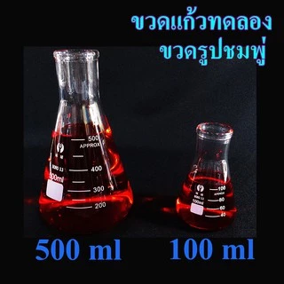 ขวดรูปชมพู่ ขวดแก้วทดลอง ขนาด 100, 500,1000, 2000 ml อุปกรณ์ห้องทดลอง