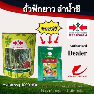 เมล็ดพันธุ์ ถั่วฝักยาวลำน้ำชี (เมล็ดเคลือบ) 500g แถมกูซิก้าจี ซองเล็ก