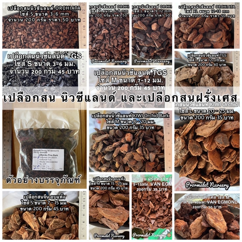 เปลือกสนนิวซีแลนท์ ORCHIATA และเปลือกสนฝรั่งเศส VAN EGMOND ไซซ์ S/M 200 กรัม ราคา30-40 บาท