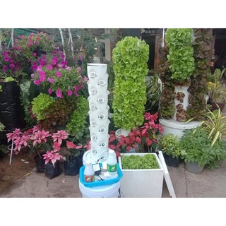 คอนโดผักแนวตั้ง Tower Garden คอนโดผัก ชุดปลูกผักแนวตั้ง Aero Garden